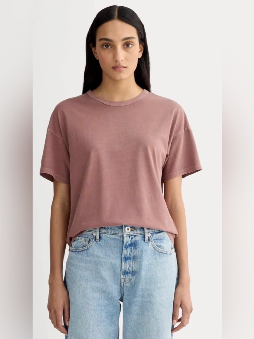 New Everlane THE BOYFRIEND TEE IN ESSENTIAL COTTON Brown Garment Dye Size L